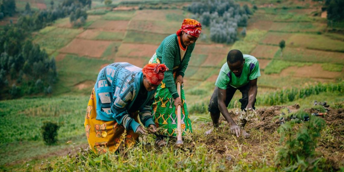 How to Reduce Food Loss and Food Waste in Africa